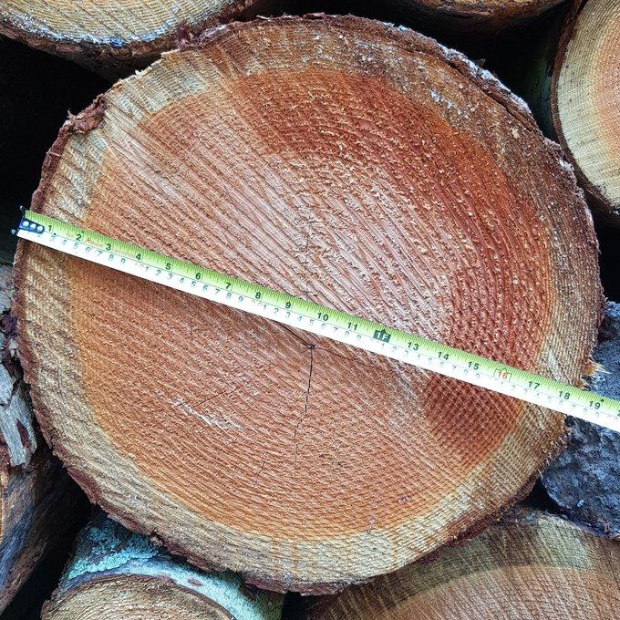 Roadside sale of joinery and beam grade Douglas Fir sawlogs