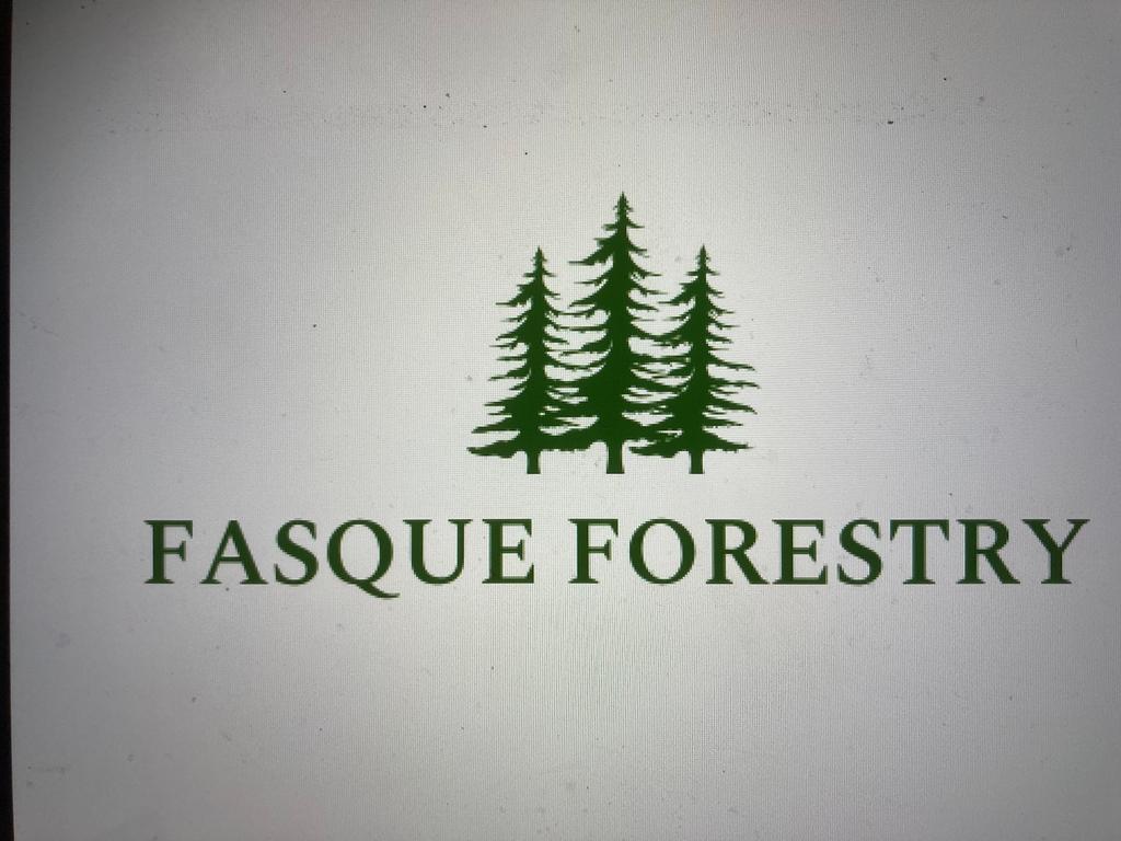 Profile image for Fasque Forestry Limited