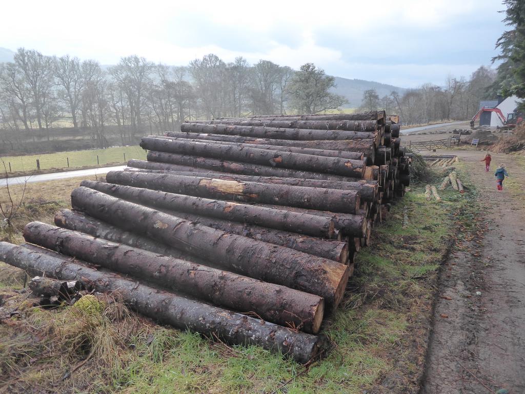 Sitka spruce saw logs, roadside