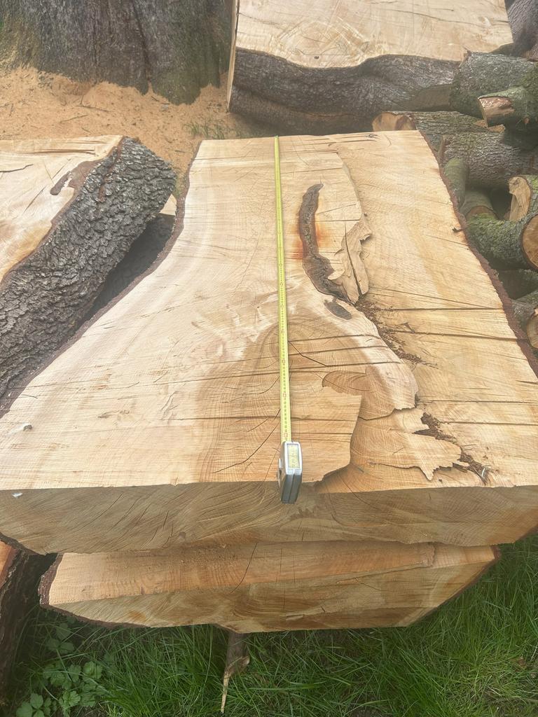 2025 FELLED CEDAR OF LEBANON - LARGE TRUNKS, SLABS AND LOGS FOR SALE