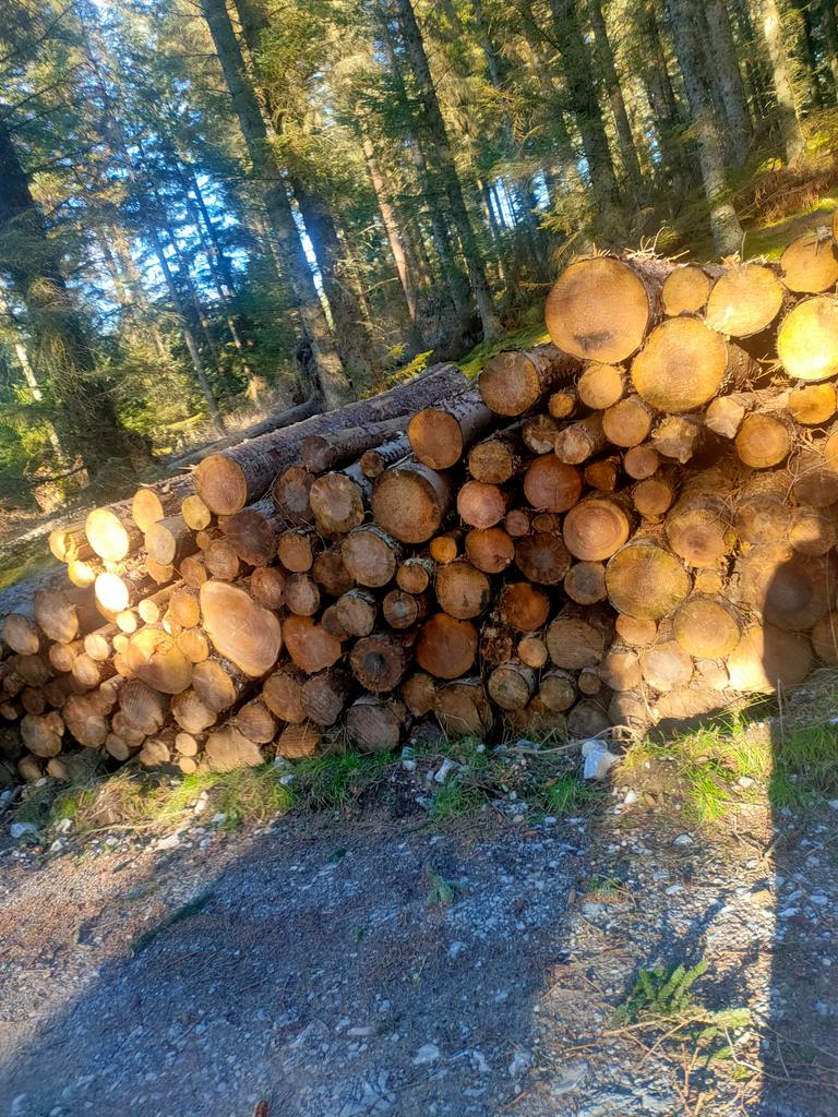 Various Roadside timber