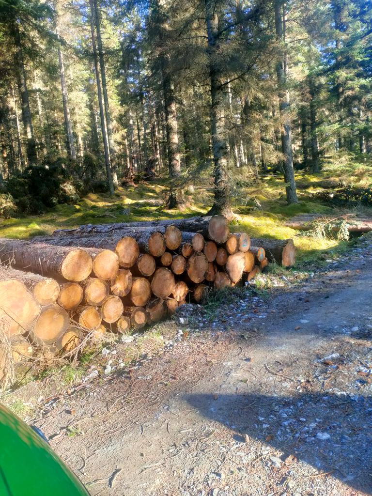 Various Roadside timber