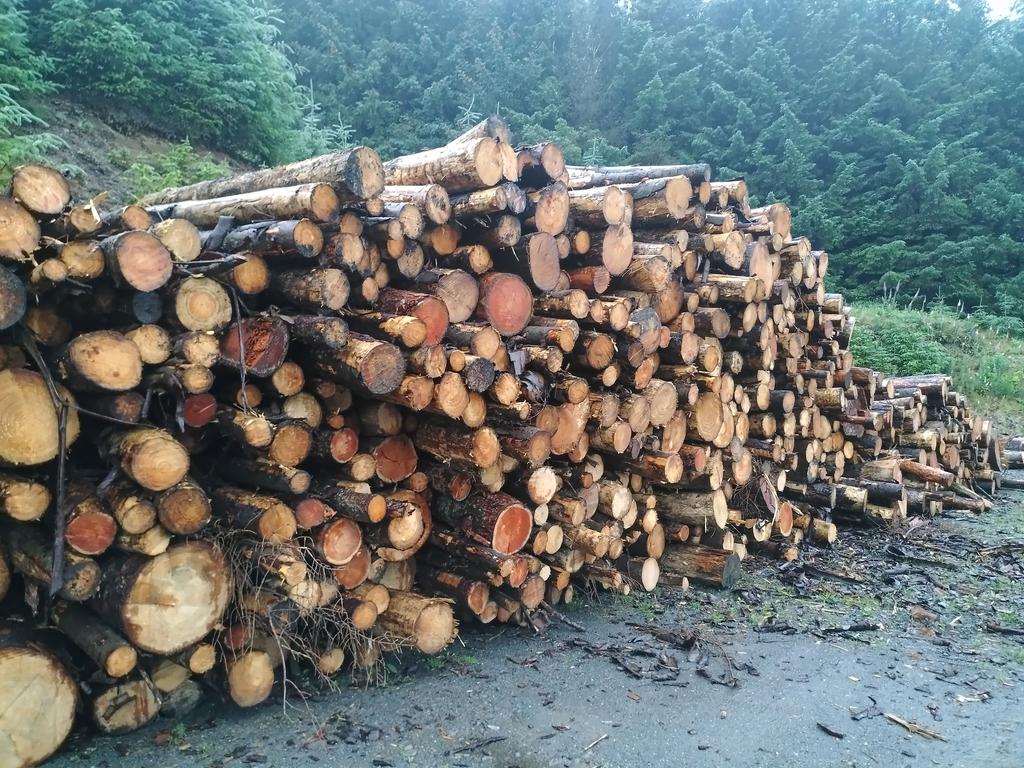 Firewood & chip wood