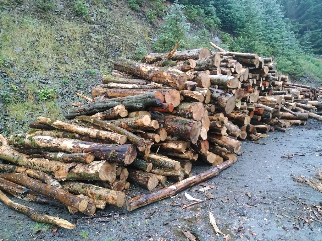 Firewood & chip wood