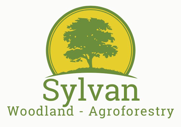 Profile image for Sylvan Management - Woodland and Agroforestry